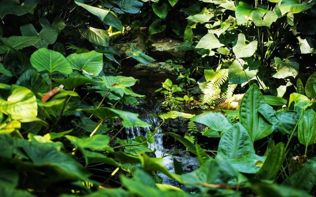 Wastewater Treatment